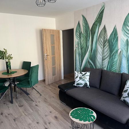 Blue Apartment Close To Old Town Bydgoszcz Eksteriør billede